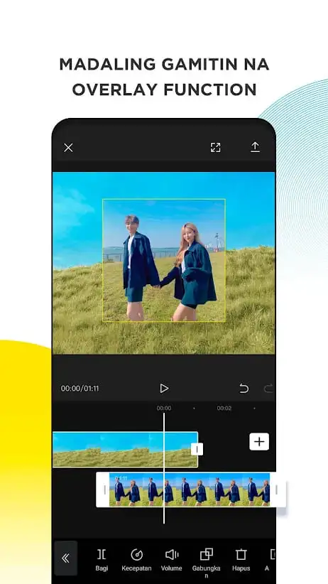 CapCut Pro screenshot
