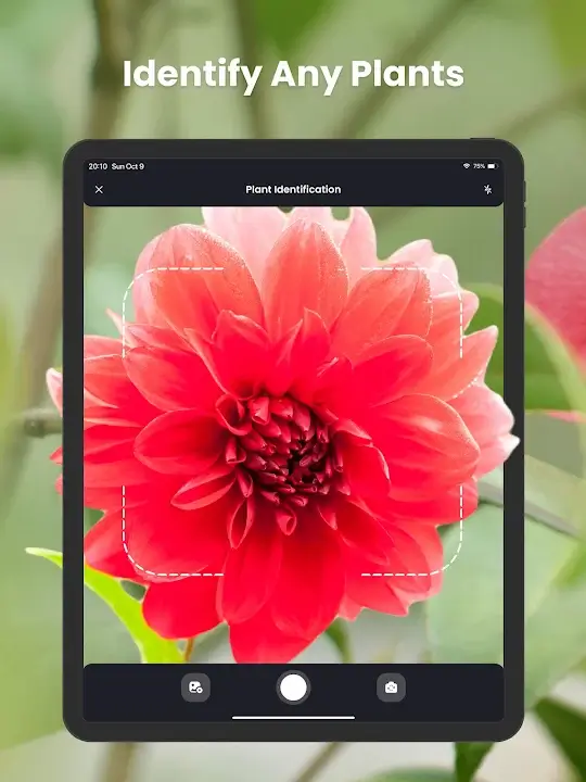 PlantIn Plant Identifier screenshot