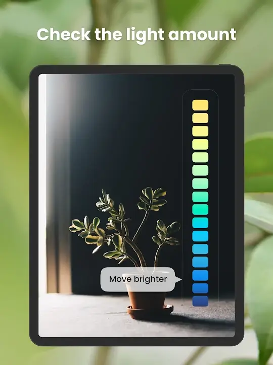 PlantIn Plant Identifier screenshot