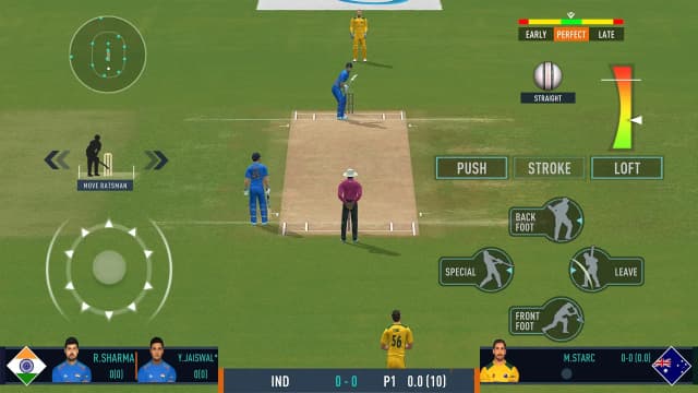 Real Cricket 25 screenshot