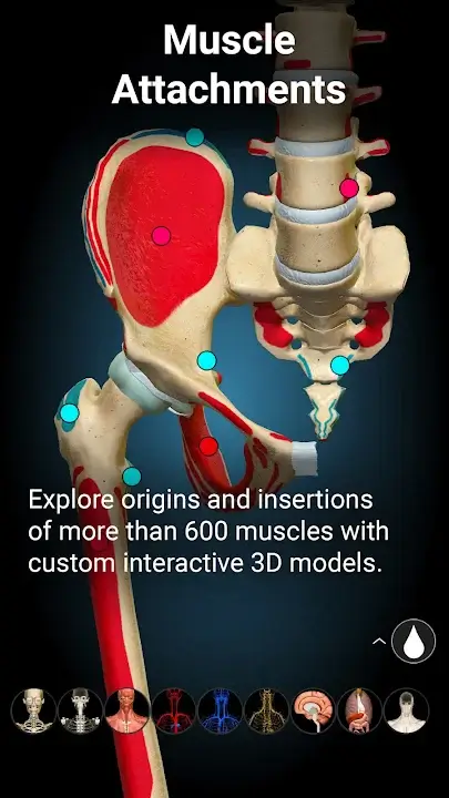 Anatomy Learning 3D Anatomy screenshot