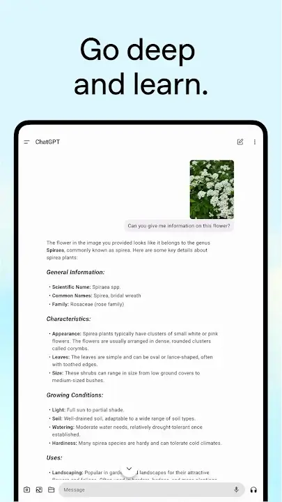 ChatGPT screenshot