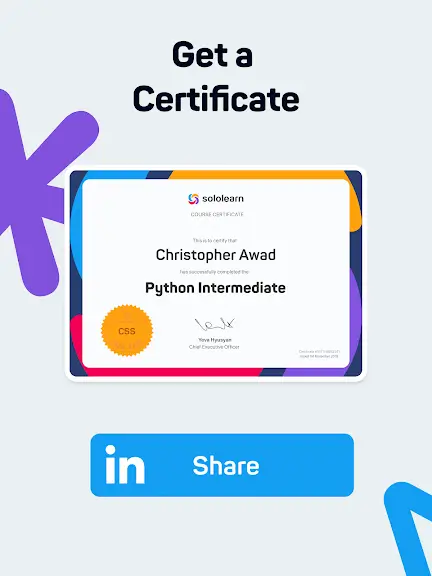 Sololearn screenshot