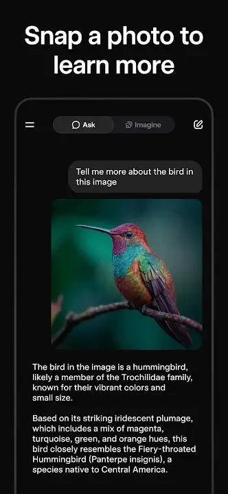 Grok screenshot