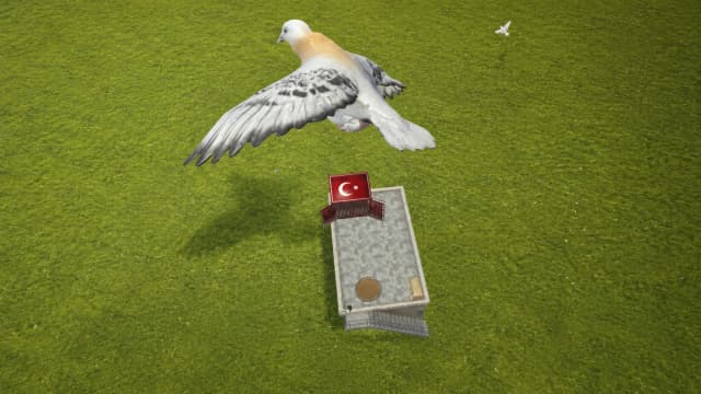 Pigeon Paradise screenshot