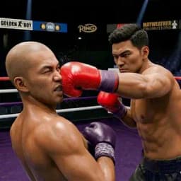 Boxing Fighting Clash